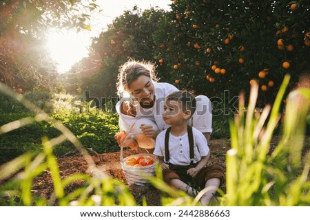 Foto Bild Erntezeit Kleinkind Frau