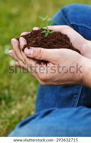 Close up of male hands with a green sprout
