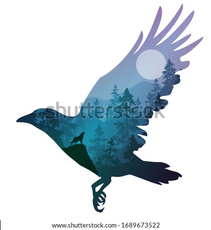 силуэт летнего ворона, векторная иллюстрация, изолированный объект