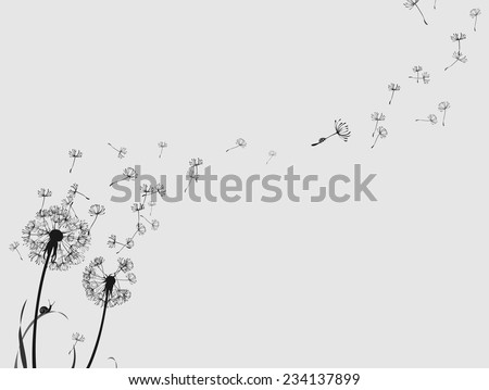 Dandelion silhouette snail and ladybug, black and white, horizontal format