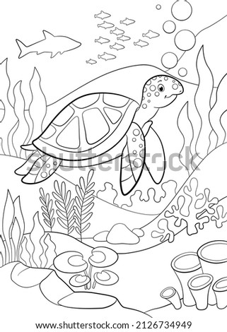 Sea Turtle Drawing Color | Free download on ClipArtMag