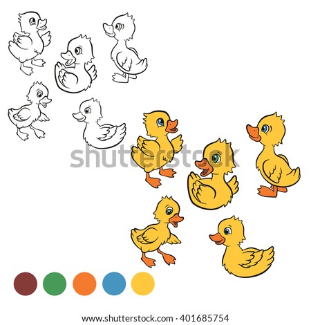 Coloring Page. Color Me: Duck. Five Little Cute Ducklings Swim And ...