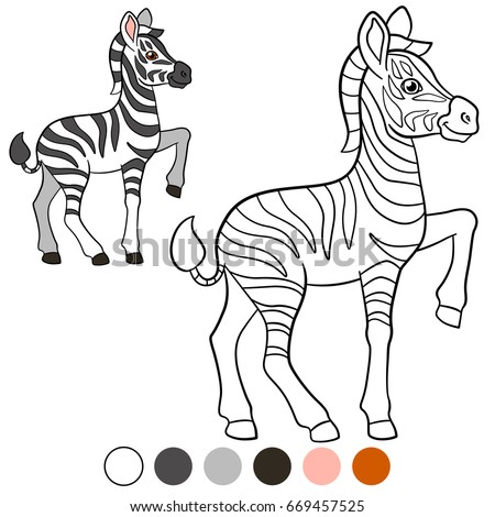 Download Cute Zebra Coloring Pages At Getdrawings Free Download