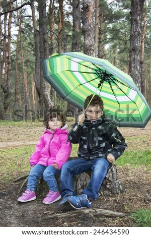 Spring in the woods sitting on a stump a little boy with curly little sister under an umbrella.
