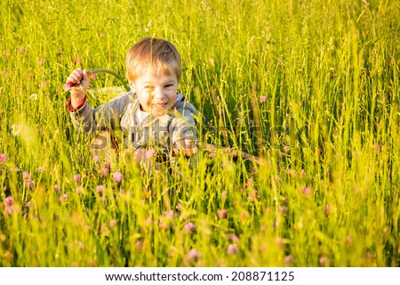 Little boy in a field of tall grass. Kid playing, running in nature. A child plays, field, grass, happiness, childhood. - The idea of ??a carefree childhood. Article about children games.