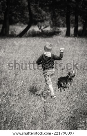 Little boy playing in the field. Black and white photography.Kid playing, running in nature. A child plays, field, grass,happiness, childhood. - The idea of a carefree childhood.Article about children