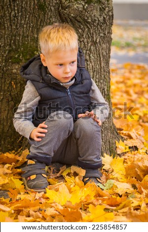Happy little boy playing with autumn leaves in the woods.Little boy screaming while holding leaves in the park. Little boy siting on the yellow leaves in the autumn park