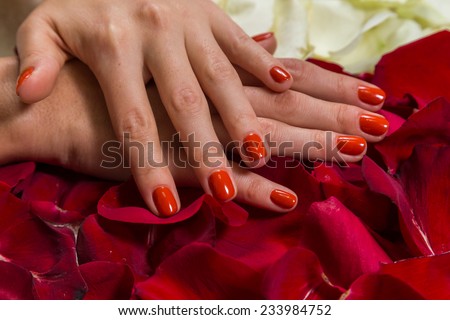Manicure - Beautiful manicured woman's hands with red nail polish. Beautiful female finger nails with red nail closeup on petals. Perfect manicure