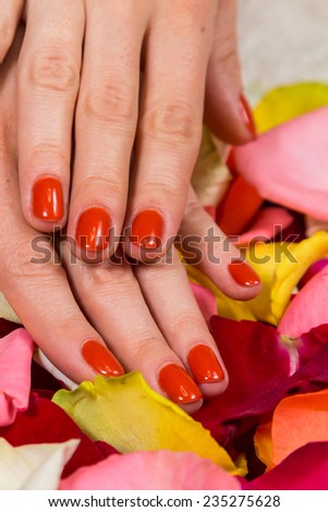 Manicure - Beautiful manicured woman\'s hands with red nail polish on rose petals.Beautiful hands with a nice manicure. Gel nails are covered with red polish. Spa treatment for hands.