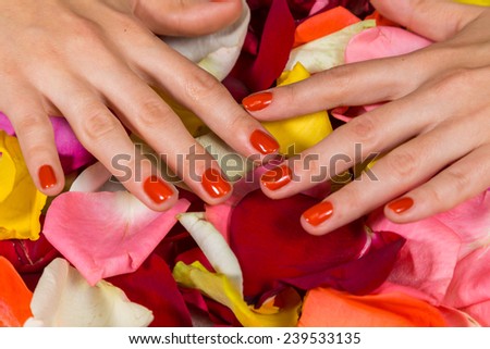 Gel nails are covered with red polish. Spa treatment for hands. Hands on a background of rose petals in spa salon.