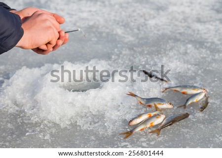 Winter fishing. Ice fishing. Fisherman on ice fishing from the well, a special winter fishing rod. Fishing in winter. Active, cold, fish, winter fishing tackle. Sport winter fishing.