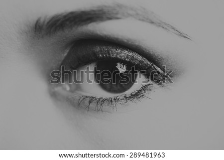 Beautiful female eye. Black and white photography.