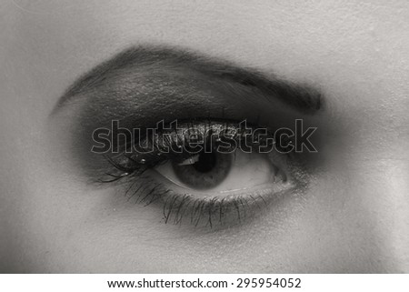 Beautiful female eye. Make-up on the eye. Beauty fashion photography.