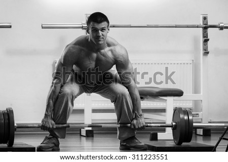 The athlete in the gym. Professional weightlifting. Weight training. Work on tell muscles. The success achieved by effort.