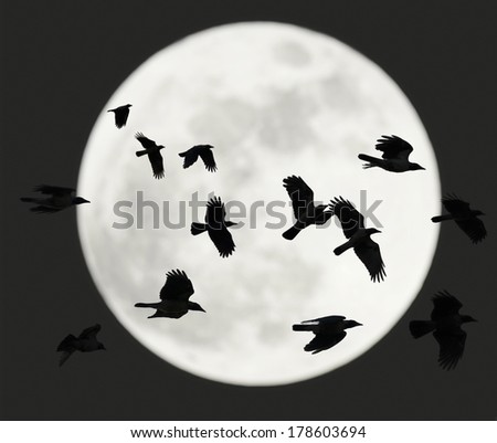 Crows flying at night with full moon in background