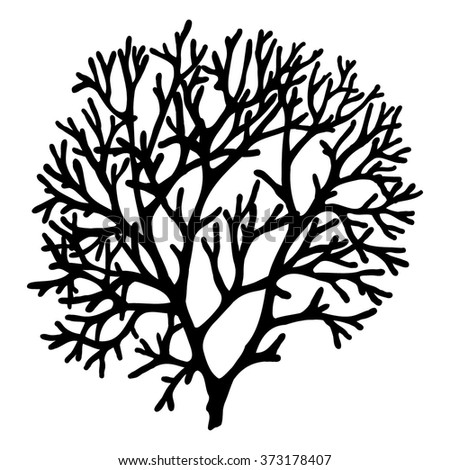 Coral Clipart Black And White | Free download on ClipArtMag