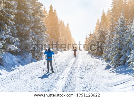 Similar – Image, Stock Photo Groomed ski trails for cross-country skiing in winter landscape in valley Studen, Switzerland famous for winter sport. Flat landscape is surrounded by mountains and illuminated by midday sun.