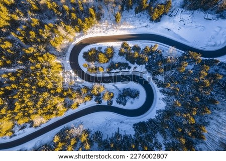 Similar – Image, Stock Photo Aerial view to winter bog and forest