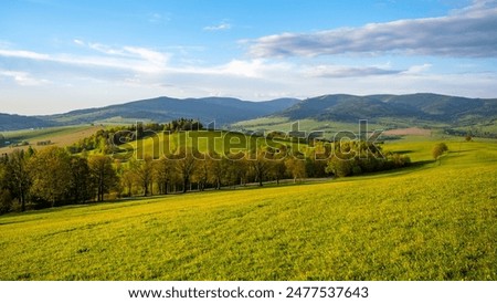 Similar – Foto Bild auf der Alm Umwelt Natur