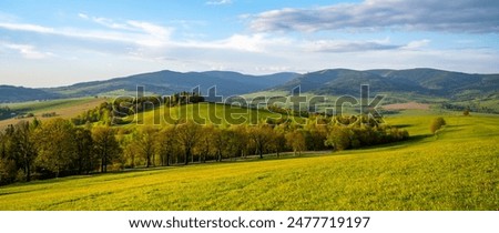 Similar – Image, Stock Photo green Mountain landscape in the summer with trees and blue sky in the Alps Switzerland beautiful background on a sunny day