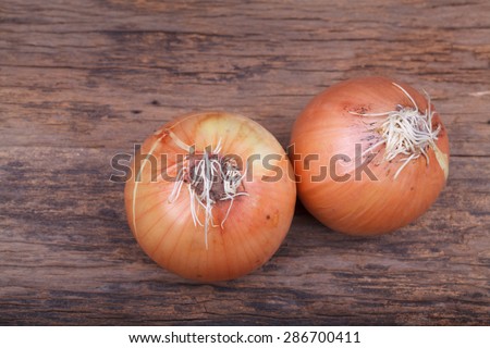 Ripe onion on wooden background