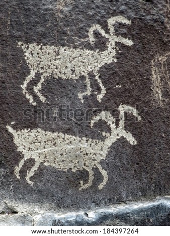 Petroglyph in Eastern Washington - Two Deer