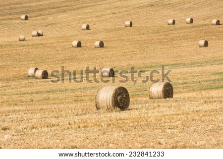 Hay-Roll On Meadow After Harvest On Summer End Landscape