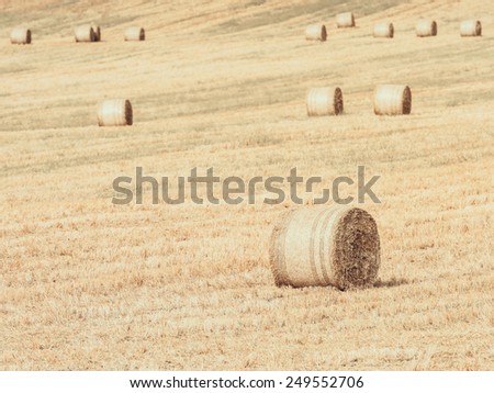 Vintage Effect Of Hay-Roll On Meadow Landscape After Harvest