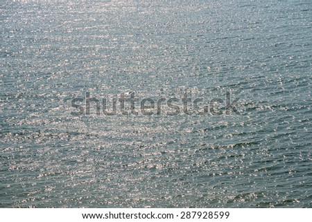 Calm Ocean Water Surface In Morning Reflecting Sun Light
