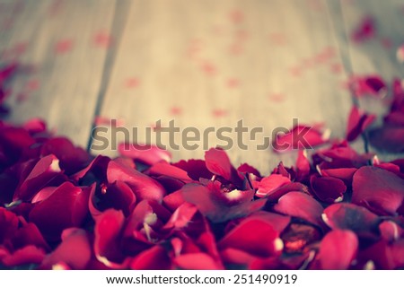 retro red rose petals and copyspace on wooden floor for valentin