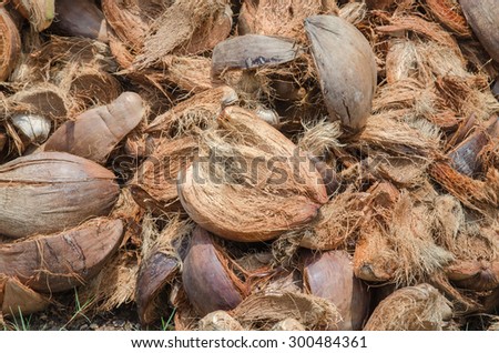 pile of coconut husk in coconut plantation