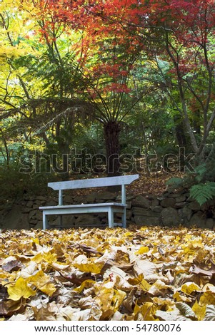 autumn carpet of yellow maple leaves in botanic garden bench under gold and red trees
