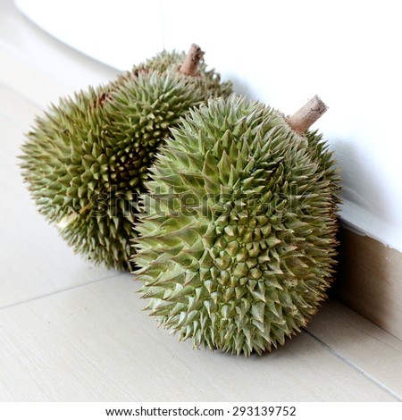 Durian is a Tropical Fruit Popular in South East Asia