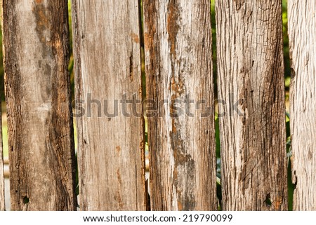 wood texture used as background old fence