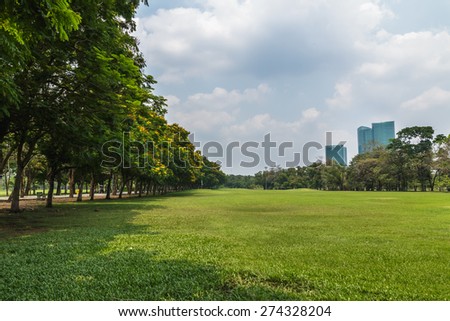 Landscape lawn  in a park with trees  and clouds sky