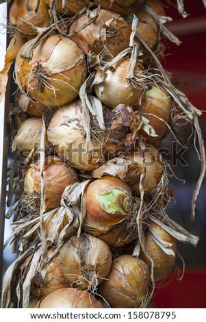 Necklace onions organic farming