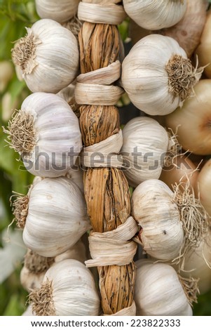 Necklace of garlic organic farming