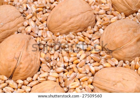 wheat seeds and walnuts