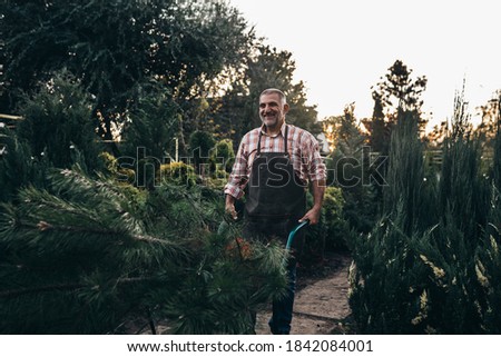 Similar – Image, Stock Photo Man transporting Christmas tree on bicycle