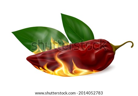 Smoke-dried red jalapeño chili pepper pod (chipotle) with fire and leaves isolated on white background. Realistic vector illustration.