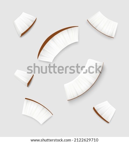 Coconut pieces isolated on gray background. Top view. Realistic vector illustration.