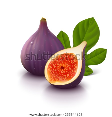 Whole figs with half and leaf isolated on white background. Vector illustration.