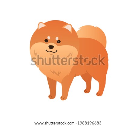 Pup Academy Wiki Pup Academy Pom Pom Golden Retriever Dog Pet Canine Transparent Png Pngset Com