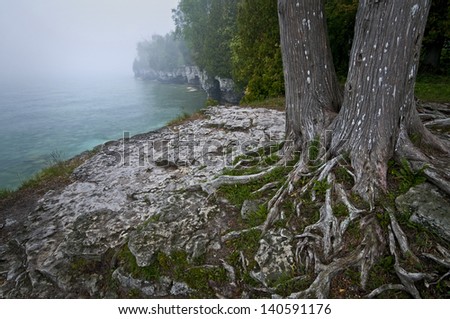The roots of a cedar tree spread over the rocky shoreline of Cave Point County Park in Door County, Wisconsin.