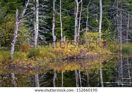 Sunrise light on the shoreline of Council Lake in Hiawatha National Forest, Michigan.