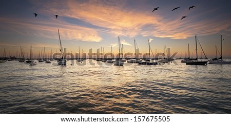 First light on the sailboats moored at Monroe Harbor on the Chicago Lakefront.
