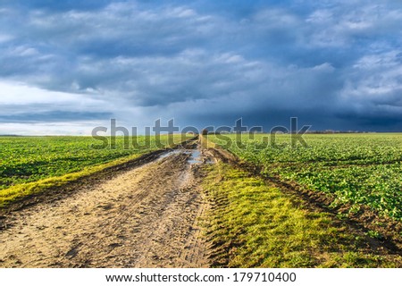 spring road in fields before storm, landscape