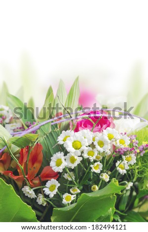 daisy, lily, rose bunch, floral border , isolated