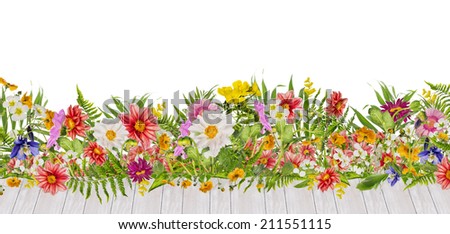flowerbed with dahlias flowers and white wooden terrace, isolated on white background