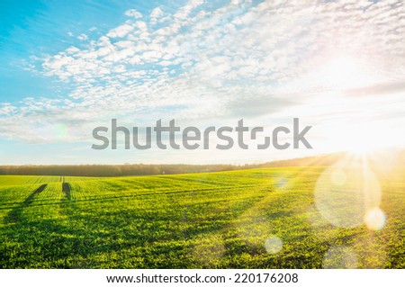 Morning landscape with green field, traces of  tractor in sun rays